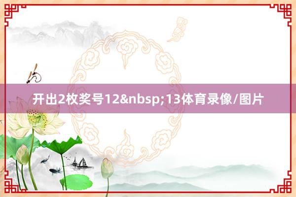 开出2枚奖号1213体育录像/图片