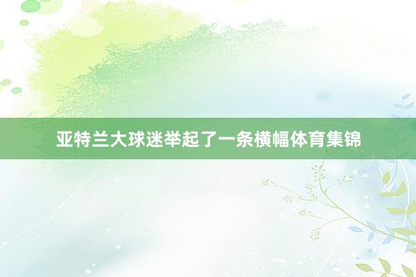 亚特兰大球迷举起了一条横幅体育集锦