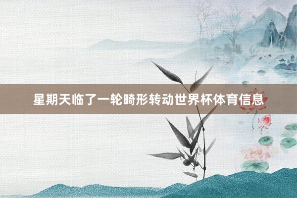 星期天临了一轮畸形转动世界杯体育信息