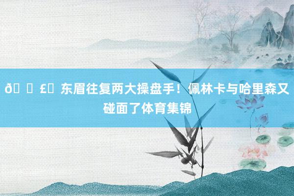 💣️东眉往复两大操盘手！佩林卡与哈里森又碰面了体育集锦