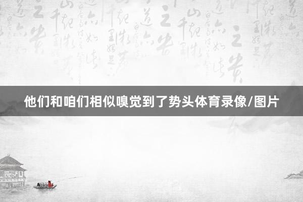 他们和咱们相似嗅觉到了势头体育录像/图片