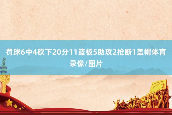 罚球6中4砍下20分11篮板5助攻2抢断1盖帽体育录像/图片