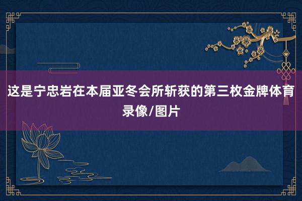 这是宁忠岩在本届亚冬会所斩获的第三枚金牌体育录像/图片