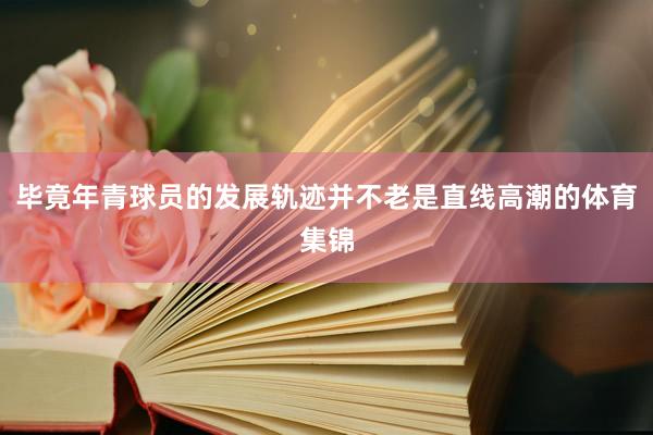 毕竟年青球员的发展轨迹并不老是直线高潮的体育集锦