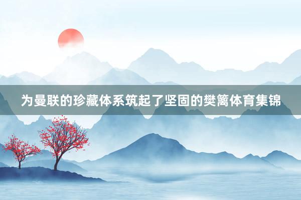 为曼联的珍藏体系筑起了坚固的樊篱体育集锦