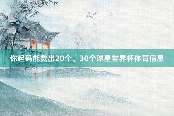 你起码能数出20个、30个球星世界杯体育信息