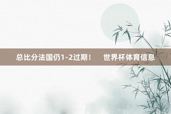 总比分法国仍1-2过期！    世界杯体育信息