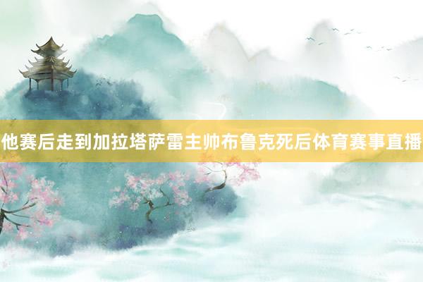 他赛后走到加拉塔萨雷主帅布鲁克死后体育赛事直播