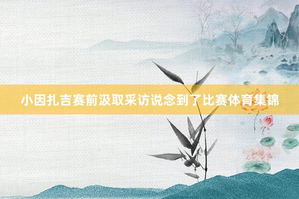 小因扎吉赛前汲取采访说念到了比赛体育集锦