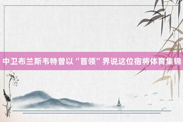 中卫布兰斯韦特曾以“首领”界说这位宿将体育集锦