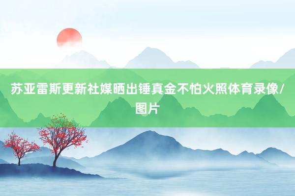 苏亚雷斯更新社媒晒出锤真金不怕火照体育录像/图片