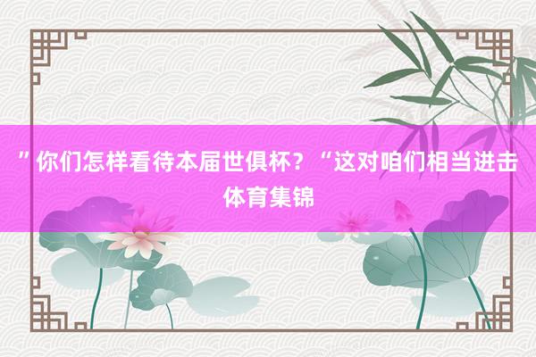 ”你们怎样看待本届世俱杯?“这对咱们相当进击体育集锦