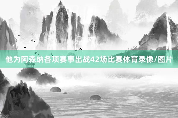 他为阿森纳各项赛事出战42场比赛体育录像/图片