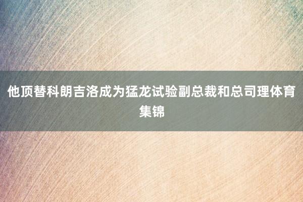 他顶替科朗吉洛成为猛龙试验副总裁和总司理体育集锦