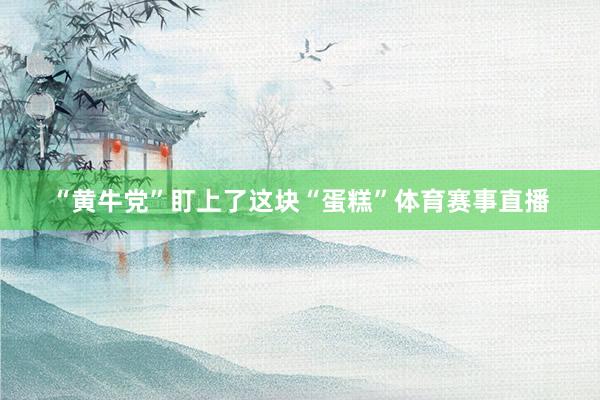 “黄牛党”盯上了这块“蛋糕”体育赛事直播