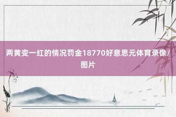 两黄变一红的情况罚金18770好意思元体育录像/图片