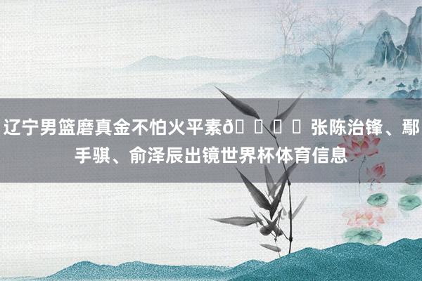 辽宁男篮磨真金不怕火平素🏋️张陈治锋、鄢手骐、俞泽辰出镜世界杯体育信息
