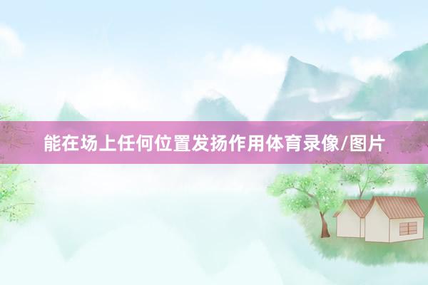 能在场上任何位置发扬作用体育录像/图片