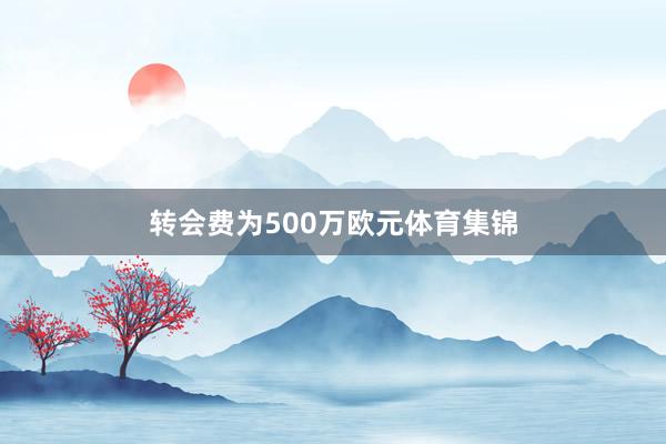 转会费为500万欧元体育集锦