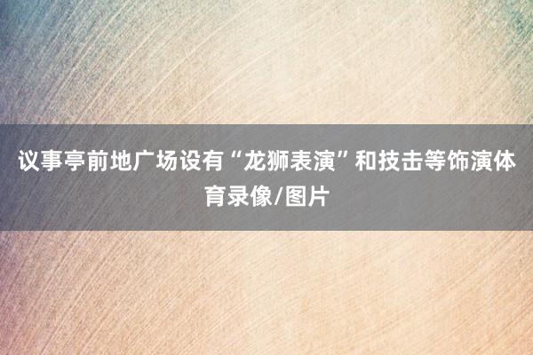 议事亭前地广场设有“龙狮表演”和技击等饰演体育录像/图片