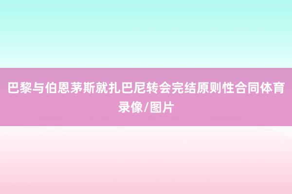 巴黎与伯恩茅斯就扎巴尼转会完结原则性合同体育录像/图片