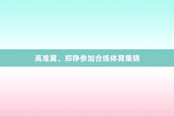 高准翼、郑铮参加合练体育集锦