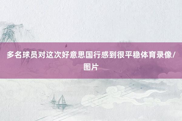 多名球员对这次好意思国行感到很平稳体育录像/图片