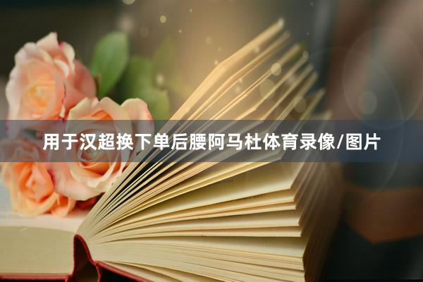 用于汉超换下单后腰阿马杜体育录像/图片