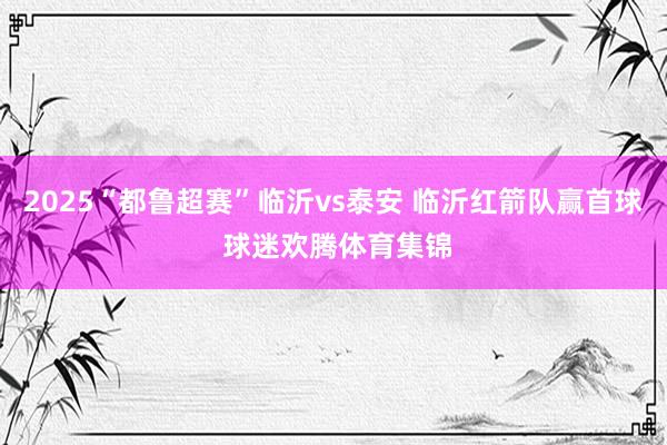 2025“都鲁超赛”临沂vs泰安 临沂红箭队赢首球 球迷欢腾体育集锦