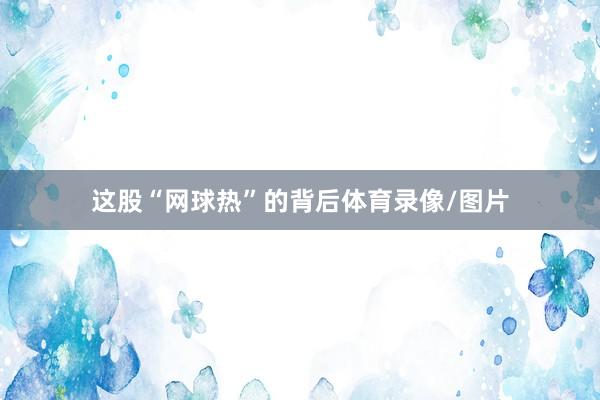 这股“网球热”的背后体育录像/图片