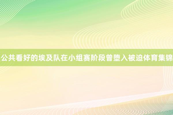 公共看好的埃及队在小组赛阶段曾堕入被迫体育集锦