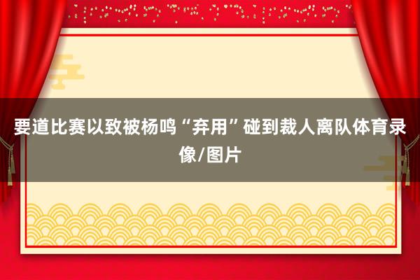 要道比赛以致被杨鸣“弃用”碰到裁人离队体育录像/图片