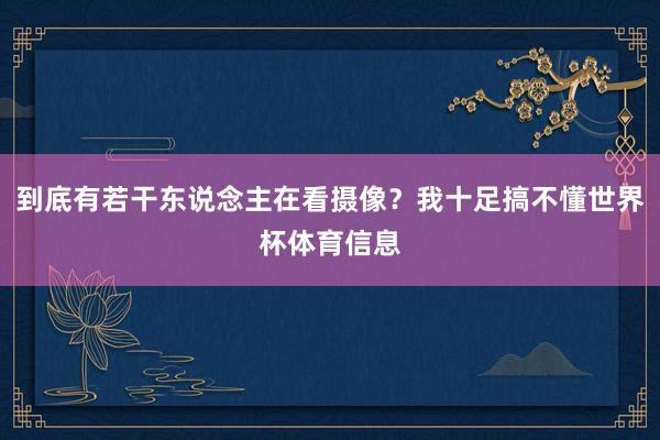 到底有若干东说念主在看摄像?我十足搞不懂世界杯体育信息