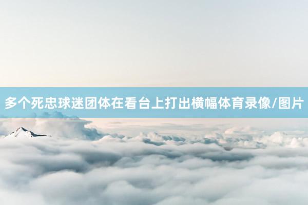 多个死忠球迷团体在看台上打出横幅体育录像/图片