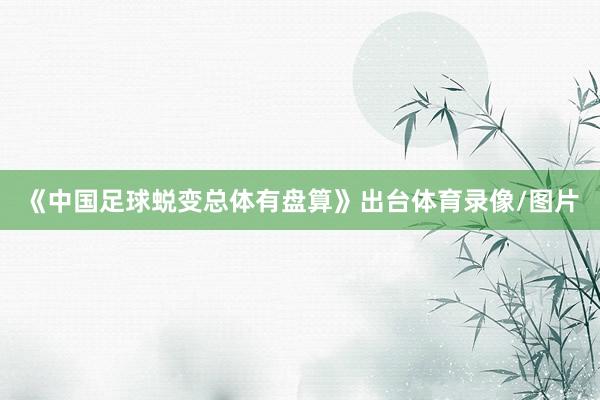《中国足球蜕变总体有盘算》出台体育录像/图片