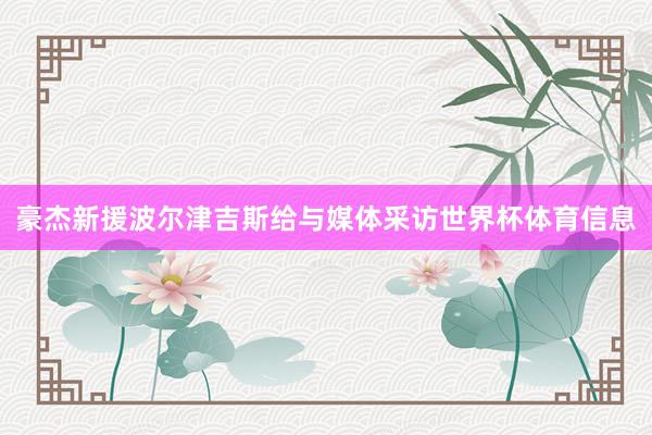 豪杰新援波尔津吉斯给与媒体采访世界杯体育信息