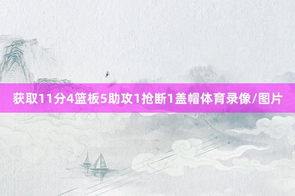 获取11分4篮板5助攻1抢断1盖帽体育录像/图片