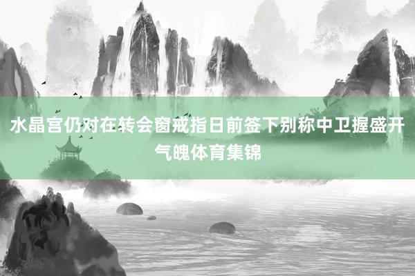 水晶宫仍对在转会窗戒指日前签下别称中卫握盛开气魄体育集锦