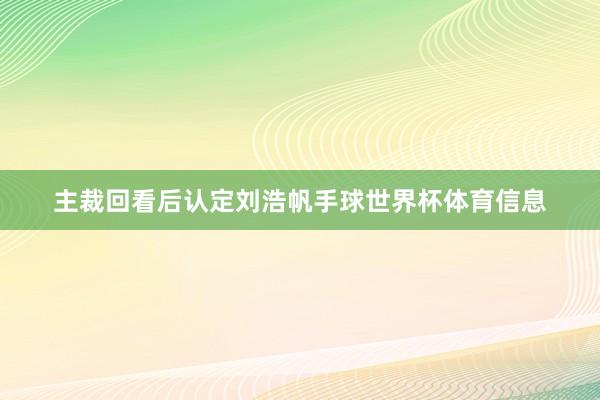 主裁回看后认定刘浩帆手球世界杯体育信息
