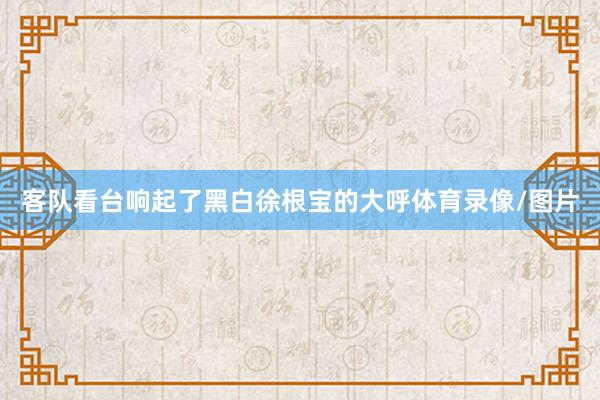 客队看台响起了黑白徐根宝的大呼体育录像/图片