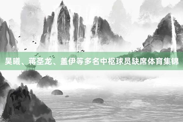 吴曦、蒋圣龙、盖伊等多名中枢球员缺席体育集锦