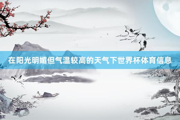在阳光明媚但气温较高的天气下世界杯体育信息